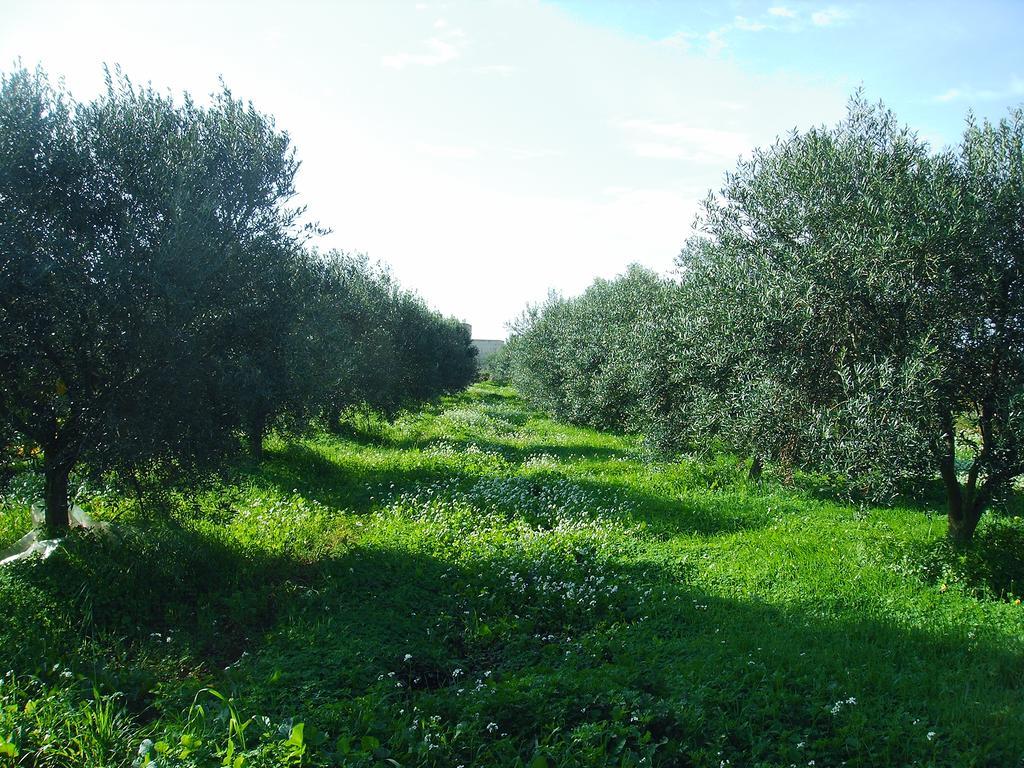 Casale Stagnone Pension Marsala Buitenkant foto